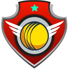 Team logo