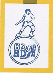 Team logo