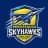 Mississauga Skyhawks-logo