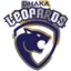 Dhaka Leopards Flag