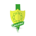 Team logo