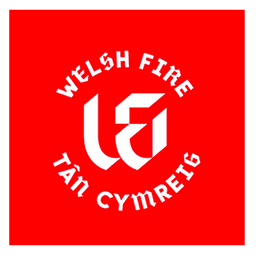 Team logo