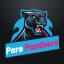 Pare Panthers Flag
