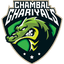 Team Logo