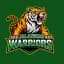 Jalandhar Warriors Flag