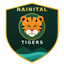 Nainital Tigers Flag