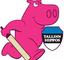 Tallinn Hippos Flag