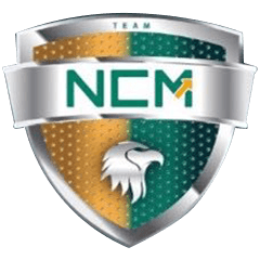 Team logo