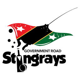 Team logo