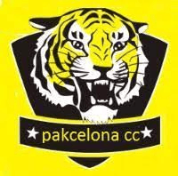 Team logo