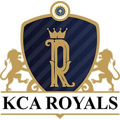 Team logo