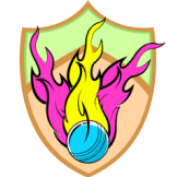 Team logo