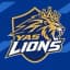 Yas Lions Flag
