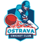 Ostrava Flag