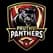 PTP Logo