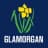 Glamorgan Flag