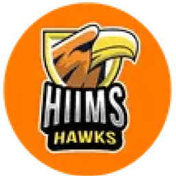 Team logo