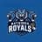 Bathinda Royals-logo