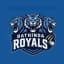 Bathinda Royals Flag