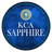 Team Sapphire Flag