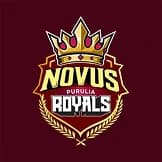 Team logo