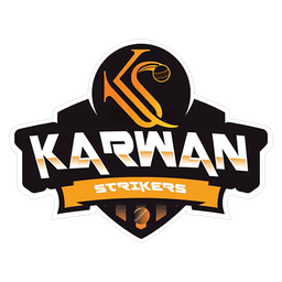 Team logo
