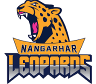 Team logo