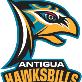Team logo