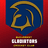 Bucharest Gladiators Flag