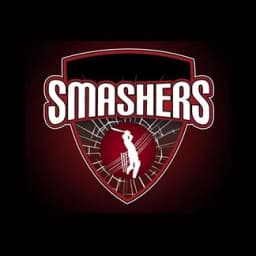 Team logo