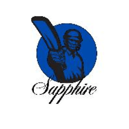 Team logo