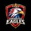 Emirates Eagles Flag