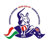 Team logo