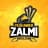 Peshawar Zalmi-logo