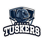 Team logo