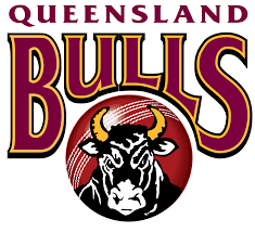 Team logo