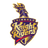 Trinbago Knight Riders Flag