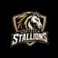Santarem Stallions Flag