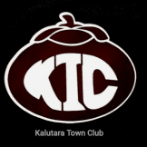 Team logo