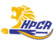 Team logo