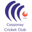 Cossonay CC Flag