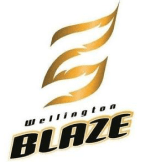 Team logo