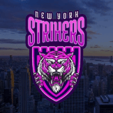 Team logo