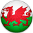 Wales Over-40s-logo