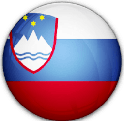 Team logo