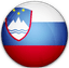 Slovenia Flag