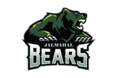 Team logo