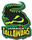 Team Logo