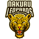 Team logo