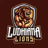 Team logo